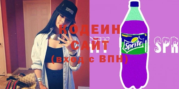 стафф Гусев