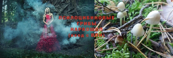мескалин Арсеньев