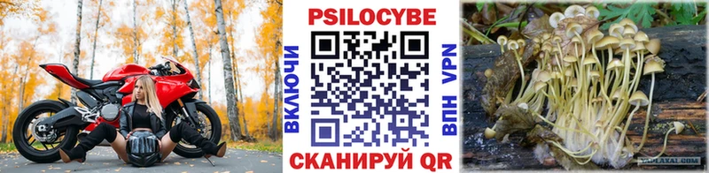 закладка  Камбарка  Псилоцибиновые грибы MAGIC MUSHROOMS 